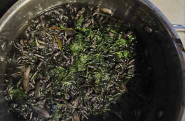 Arroz de chocos com tinta